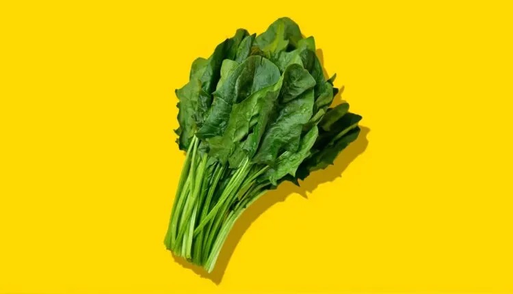 با مصرف این ۱۱ غذا، با عینک خداحافظی کنید_بام وطن 1 اسفناج