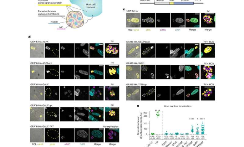 درمان یک اختلال مغزی با منفعت گیری از نوعی انگل_بام وطن 1 171308205