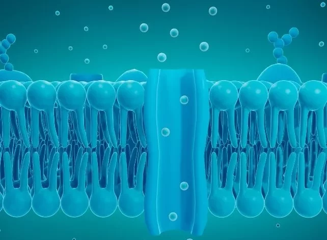 دستاوردی در علم اعصاب؛ محققان توانستند ذهن موش‌ها را از راه دور کنترل کنند