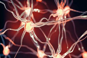 «هورمون عشق» بر سختی خون در طول کم اکسیژنی تاثییر میگذارد_بام وطن 17 «هورمون عشق» بر فشار خون در طول کم اکسیژنی تاثیر میگذارد