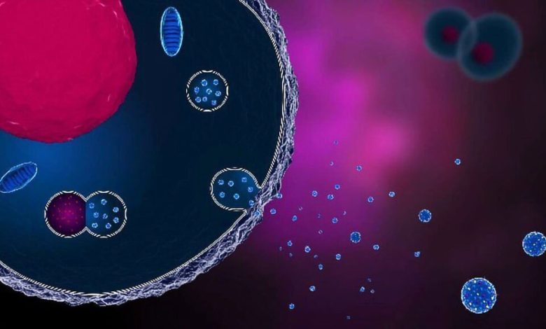 اگزوزوم‌ها