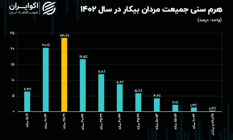 بیکاری در سال ۱۴۰۲ به روایت آمار و ارقام_بام وطن 3 بیکاری در سال ۱۴۰۲ به روایت آمار و ارقام