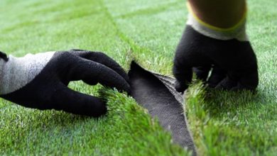 تصویری که علتشرم ایرانیان شد/ تفاوت کیفیت زمین چمن تهران و جده!/ عکس_بام وطن 3 تصویری که باعث شرم ایرانیان شد/ تفاوت کیفیت زمین چمن تهران و جده!/ عکس