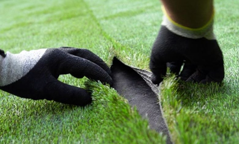 تصویری که علتشرم ایرانیان شد/ تفاوت کیفیت زمین چمن تهران و جده!/ عکس_بام وطن 3 تصویری که باعث شرم ایرانیان شد/ تفاوت کیفیت زمین چمن تهران و جده!/ عکس