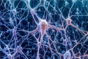 رابطه شگفت و معکوس بین آلزایمر و سرطان!_بام وطن 4 رابطه عجیب و معکوس میان آلزایمر و سرطان!