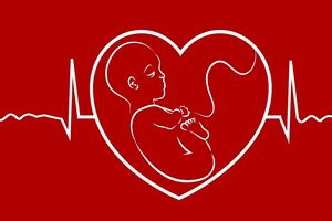 سازماندهی مجدد مغز زنان در دوران بارداری_بام وطن 6 سازماندهی مجدد مغز زنان در دوران بارداری