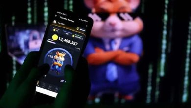 عملیات ویژه برای پولدار‌شدن با همستر کامبت در ۱۵ روز