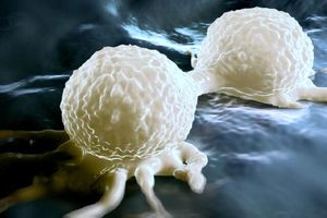 کشف نقش پنهانی استروژن در ابتلا به سرطان_بام وطن 3 کشف نقش پنهانی استروژن در ابتلا به سرطان