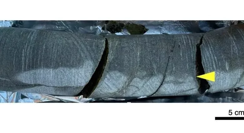 میکروب‌های باستانی در دل سنگ دو میلیارد ساله‌