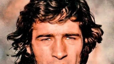 استوری معنادار وریا غفوری برای ناصر حجازی/ عکس_بام وطن 3 2348931_289