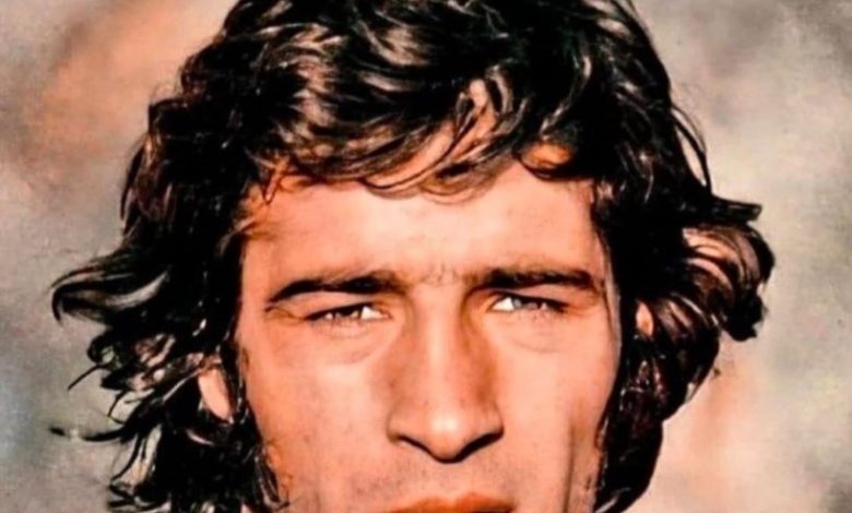 استوری معنادار وریا غفوری برای ناصر حجازی/ عکس_بام وطن 1 2348931_289