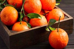 خواص نارنگی برای مردان، زنان و کودکان_بام وطن 2 خواص نارنگی برای مردان، زنان و کودکان