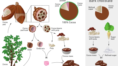 دانشمندان روش جدیدی برای ساخت شکلات کشف کردند_بام وطن 3 63268553