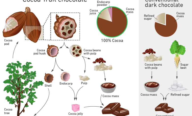 دانشمندان روش جدیدی برای ساخت شکلات کشف کردند_بام وطن 1 63268553