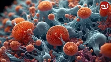 «زندگی آینه‌ای» چیست و چگونه می‌تواند به «آخرالزمان» منجر شود؟