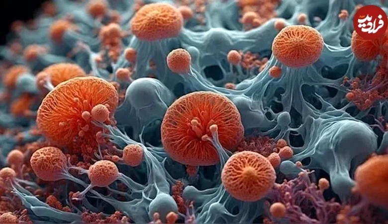 «زندگی آینه‌ای» چیست و چگونه می‌تواند به «آخرالزمان» منجر شود؟