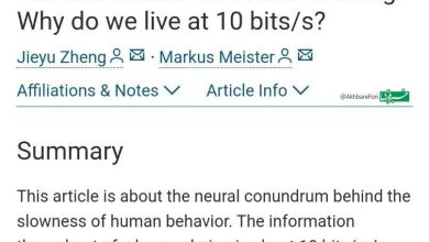 شدت فکر کردن انسان چند برابر دریافت اطلاعاتش هست؟_بام وطن 3 photo_2024-12-19_18-07-14