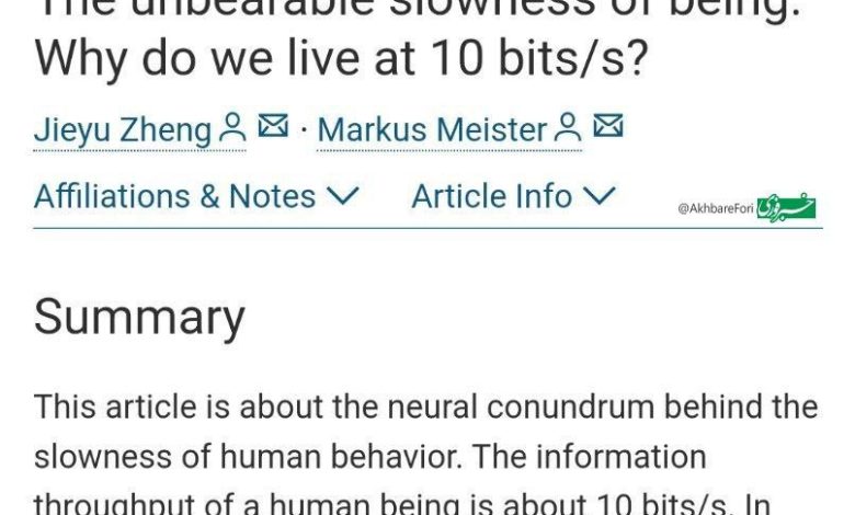 photo_2024-12-19_18-07-14