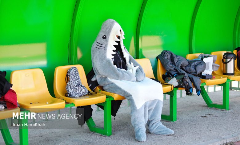 فوتبال بانوان