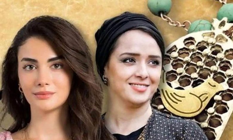مقایسه بازی ترانه علیدوستی با بازیگر زن ترکیه ای در نسخه ترکی سریال شهرزاد/ ویدئو