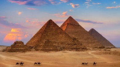 photo_۲۰۲۴-۱۲-۲۰_۰۹-۳۸-۱۶