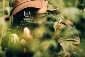 نامرئی شدن ممکن شد_بام وطن 6 نامرئی شدن ممکن شد