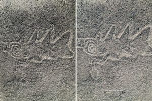 چهار کشف مهم سال ۲۰۲۴ که تنها به لطف هوش مصنوعی ممکن شدند_بام وطن 4 چهار کشف مهم سال ۲۰۲۴ که تنها به لطف هوش مصنوعی ممکن شدند