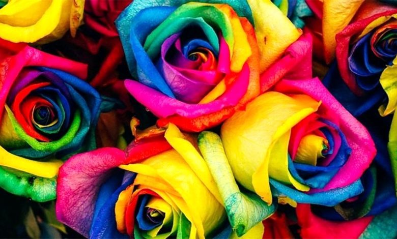 انتخاب های رنگی و زناشویی