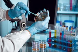 ساخت کیت تشخیص سریع بیماری با پشتیبانی نانوحفره_بام وطن 3 ساخت کیت تشخیص سریع بیماری با کمک نانوحفره