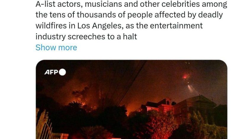 photo_2025-01-09_22-55-47