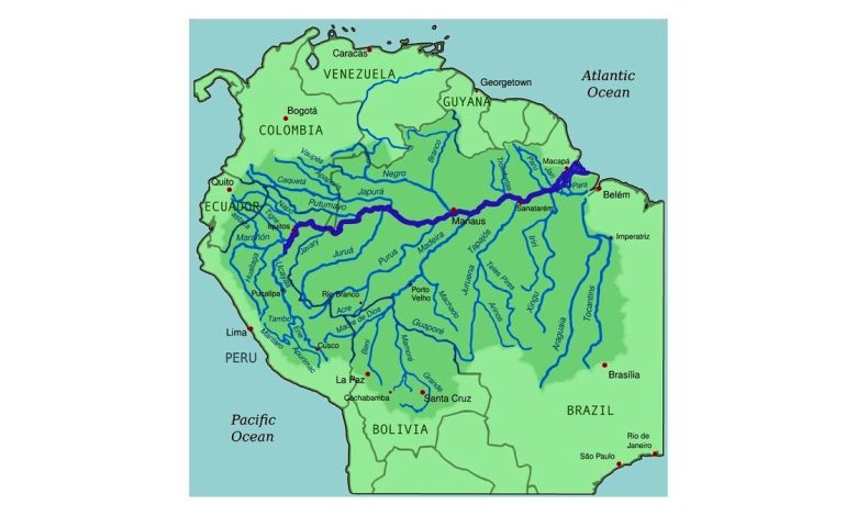 چرا روی رودخانه آمازون هیچ پلی ساخته نشده؟/ فیلم