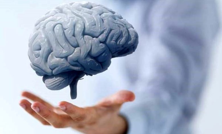 آیا مغز در لحظه مرگ، خاطرات را مرور می‌کند؟/ ویدئو

