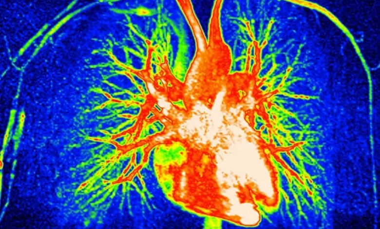اگر مصرف گوشت را قطع کنیم چه اتفاقی برای بدن می‌افتد؟