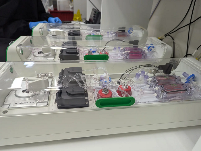 رونمایی از اولین رایانه زیستی جهان_بام وطن 4 63380261