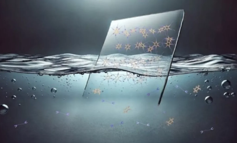 _D8_A7_DB_8C_D9_86-_D9_BE_D9_84_D8_A7_D8_B3_D8_AA_DB_8C_DA_A9-_D9_85_DB_8C_E2_80_8C_D8_AA_D9_88_D8_A7_D9_86_D8_AF-_D9_85_D8_B4_DA_A9_D9_84-_D8_A2_D9_84_D9_88_D8_AF_DA_AF_DB_8C-_D8_B2_D8_A8_D8_A7_D9_84_