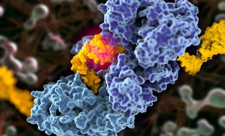 دانشمندان برای اولین بار تصاویری از استراتژی سرّی سرطان ثبت کردند_بام وطن 1 دانشمندان برای اولین بار تصاویری از استراتژی سرّی سرطان ثبت کردند