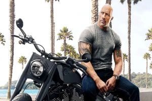 پردرآمدترین بازیگر سال ۲۰۲۴ اشکار شد_بام وطن 4 پردرآمدترین بازیگر سال ۲۰۲۴ مشخص شد