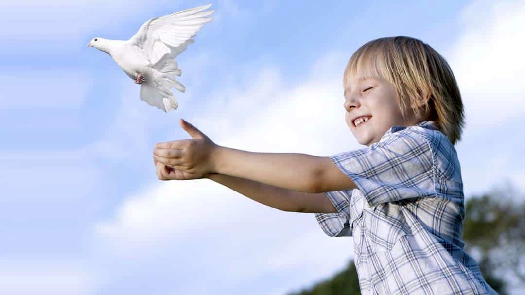 چطور کودکی اجتماعی پرورش کنیم؟ / ۷ راهکار موثر برای داشتن کودک اجتماعی_بام وطن 10 1743632075 158 چطور کودکی اجتماعی پرورش کنیم؟ ۷ راهکار موثر برای