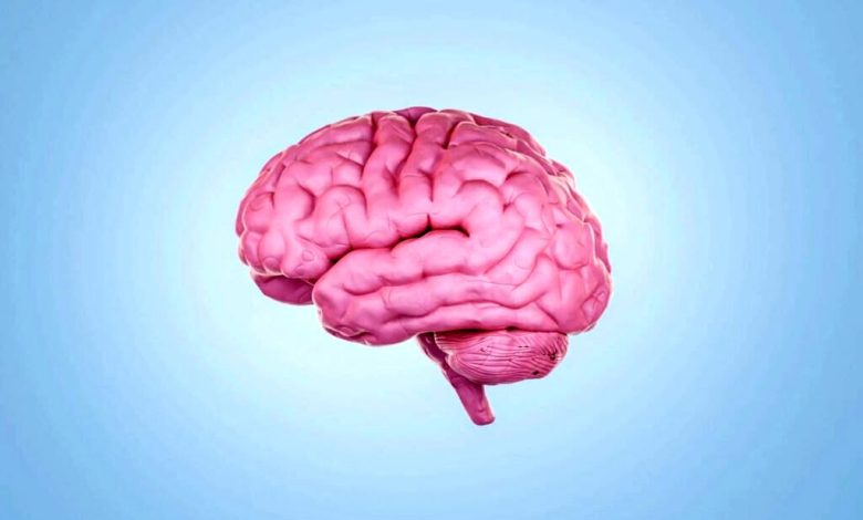 غیرفعال کردن اینترنت موبایل می‌تواند فرایند پیری مغز را معکوس کند