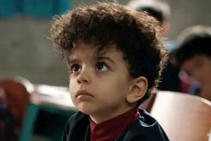 درآمد «سالار معمولی» به ماهانه ۳۰۰ میلیون رسید_بام وطن 15 درآمد «سالار معمولی» به ماهانه ۳۰۰ میلیون رسید