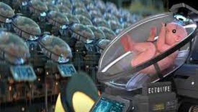 این یک رحم مصنوعی است/ ویدئو_بام وطن 3 این یک رحم مصنوعی است/ ویدئو