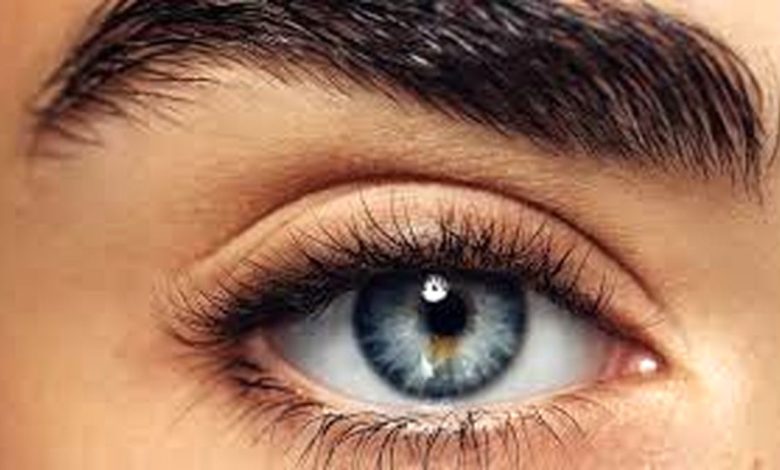 هیچ عضو بدنی از «چشم» خبردار نیست/ ویدئو_بام وطن 1 هیچ عضو بدنی از «چشم» خبردار نیست/ ویدئو