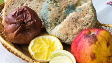 همه مواد غذایی کپک زده را دور بریزید/ هیچ قسمتی را نخورید_بام وطن 5 1