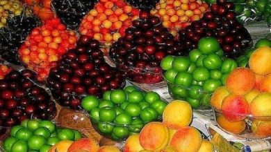 توزیع روزانه میوه به ۲۲ هزارتن رسید/استمرار ارامش قیمت میوه در بازار_بام وطن 2 توزیع روزانه میوه به ۲۲ هزارتن رسید/استمرار ثبات قیمت میوه در بازار