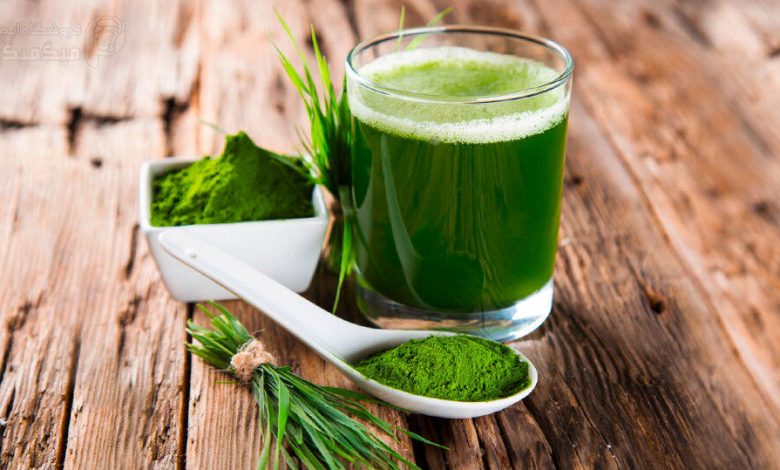 آیا قرص‌های جلبک واقعاً لاغر می کنند؟/ این قرص‌ها برای چه کسانی منع مصرف دارند؟