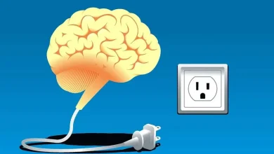 ۵ راه مقابله با خستگی مغز و افزایش سریع انرژی_بام وطن 4 مغز
