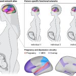 افسردگی دوران بارداری و تکامل عصبی جنین
