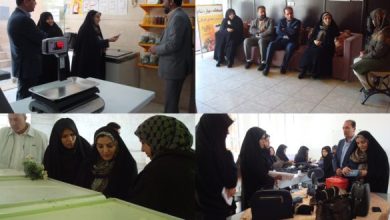 اشتغال بانوان استان بوشهر در کسب و کارهای تولیدی افزایش می‌یابد