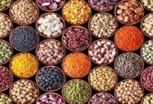 مصرف حبوبات در کاهش خطر فشارخون بالا موثرند