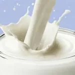 کدام شیر برای سلامت استخوان موثر است؟